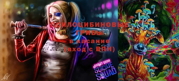 бутират Няндома