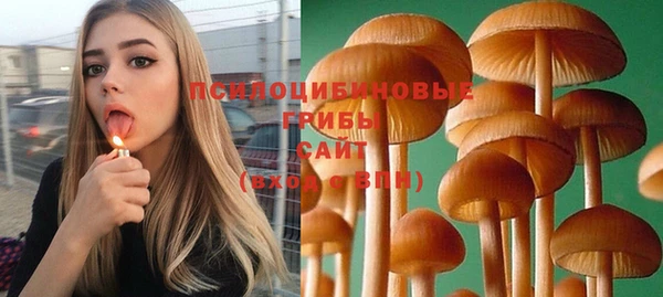 Альфа ПВП Бутурлиновка