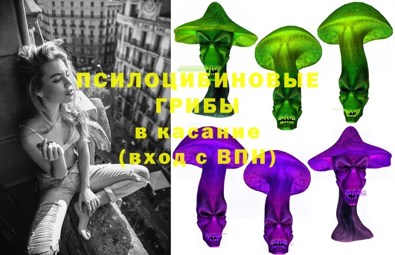 где можно купить   Кувандык  Псилоцибиновые грибы Psilocybine cubensis 