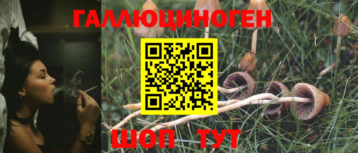 Кувандык  Галлюциногенные грибы прущие грибы  Вход с VPN 